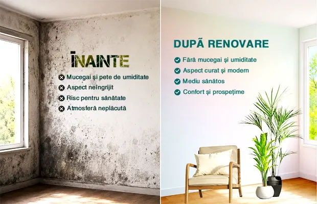 Mucegai negru pe perete interior